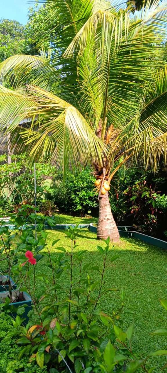 Edelweiss Residence Hikkaduwa Bagian luar foto